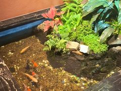 -隐炉和牛烧肉店(群力店)