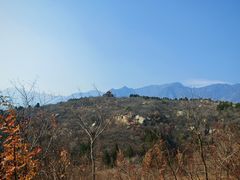 -白水寺森林公园