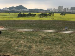 -光明小镇欢乐田园