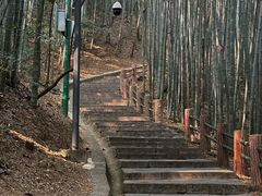 -敬亭山风景名胜区