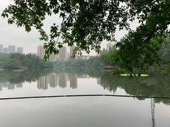 -重庆彩云湖湿地公园