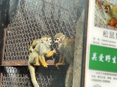 -昆明动物园