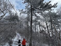 -溪口商量岗景区