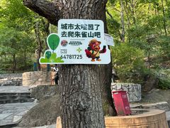 -吉林市朱雀山国家森林公园