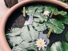 -余味私房菜(正阳小区西5街区店)