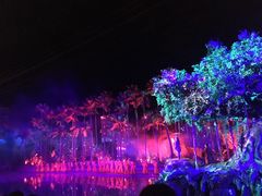 -三亚红色娘子军演艺公园景区