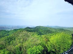 -云碧峰国家森林公园