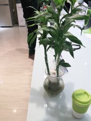 -比华利美容医院