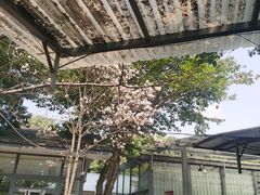 -凤来栖·净庭院·火锅(欧尚店)