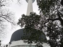 -龟山风景区-龟山电视塔