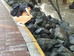 -宝安西湾红树林湿地公园