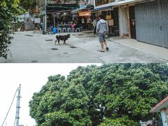 -南丫岛