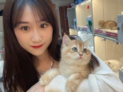 -lincat·猫舍(广州店)