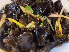 爽口木耳-人民公社铁锅炖·东北菜(卫国道店)
