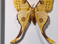 -烟台市博物馆