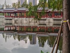 -重庆彩云湖湿地公园