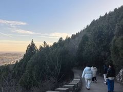 -府君山公园