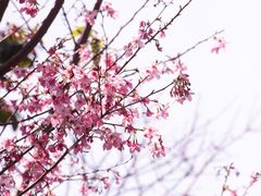 -小南山公园