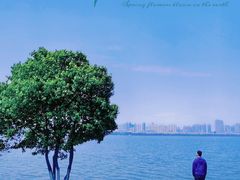 -艾溪湖湿地公园