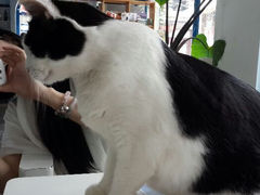 android_upload_pic-Anne猫窝咖啡屋