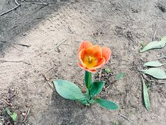 -长春公园(普阳街道)