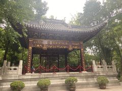 -汇龙潭
