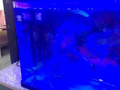 -严国平动物医院(德政总院)