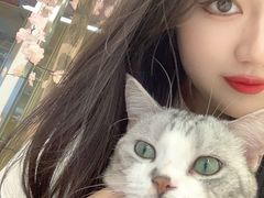 -喵八撸猫馆