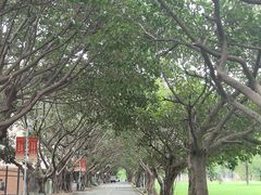-五邑大学