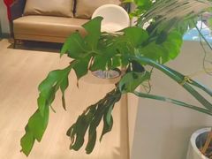 -北京京成公公务员考试考公考编培训课程
