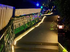 -宝莱纳啤酒花园餐厅PAULANER BRAUHAUS Nanjing(广州路店)