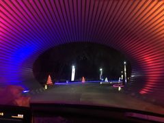 -枫花园汽车电影院(朝阳公园店)