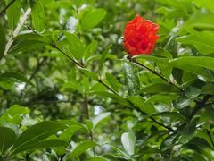 -上海交通大学(闵行校区)