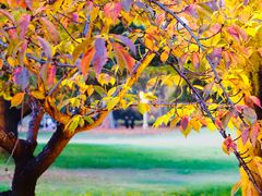 -河南省黄河迎宾馆