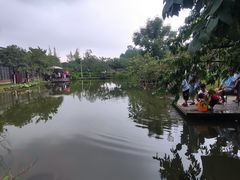 -洪湖家庭农场·团建·露营·会议