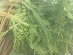 苦菊-宏姐串串香(征仪路店)