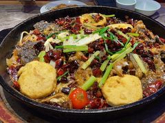 -老板恋上鱼(恒隆广场店)