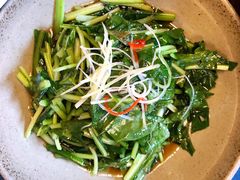 清炒板蓝根-石屏会馆