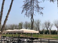 -汉长安城未央宫国家考古遗址公园