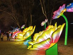 -洛阳市隋唐城遗址植物园