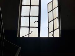 -福州大楼写字楼