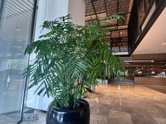 -天津东凯悦酒店