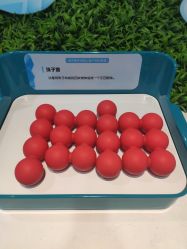 -北京科学中心儿童乐园