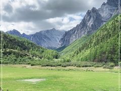 -稻城亚丁景区-冲古草甸