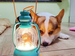 -星巴克(北京环球金融中心店)