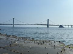 -星海广场