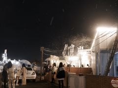 -Blue Concept Cafe&Farm·關於藍