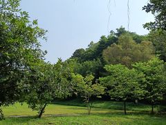 -李小龙乐园(顺德均安店)