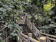 -南宁良凤江国家森林公园