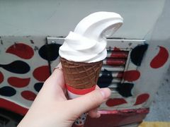 -富豪雪糕车流动点(尖沙咀店)